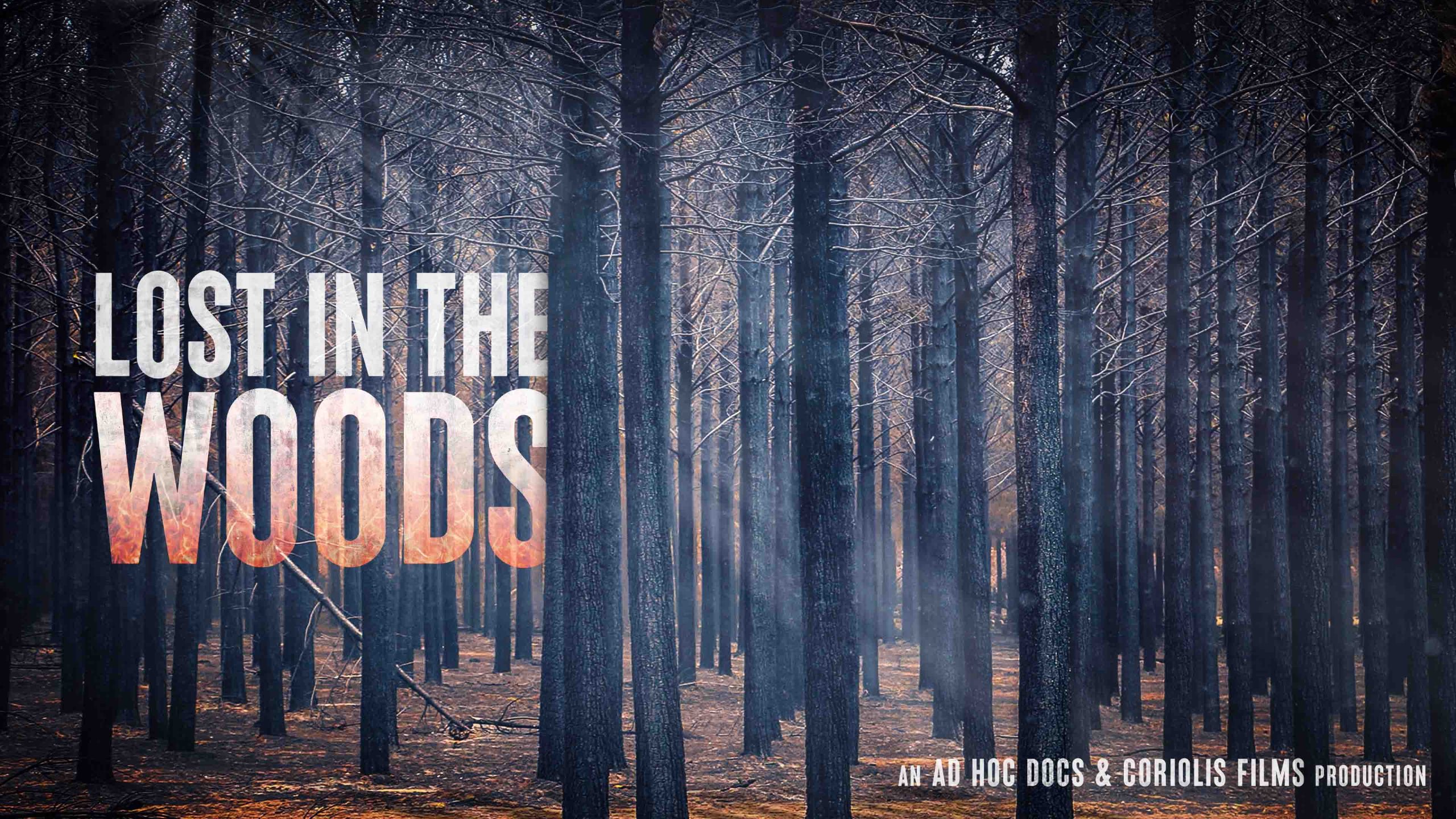 into the woods movie wallpaper