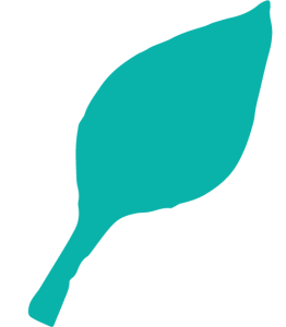 Icon_Leaf_Aqua