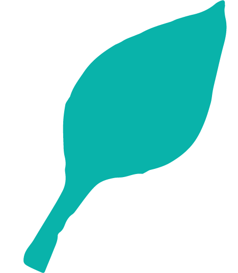 Icon_Leaf_Aqua