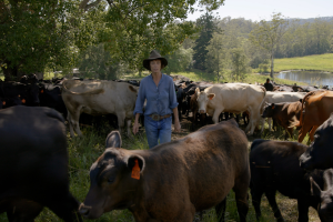 Rachel's Farm