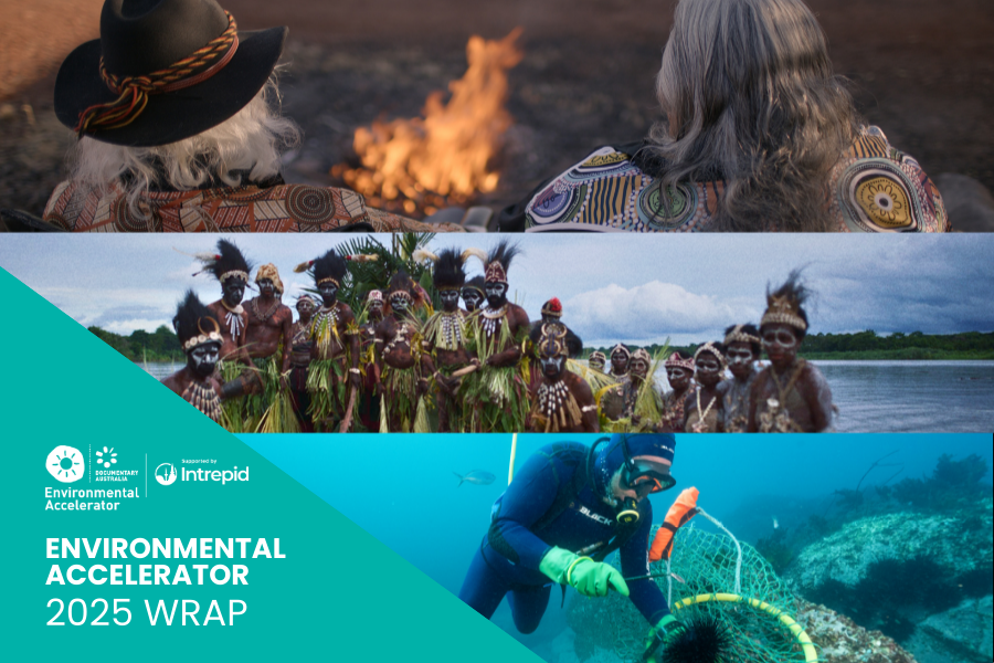 Environmental Accelerator 2025 wrap