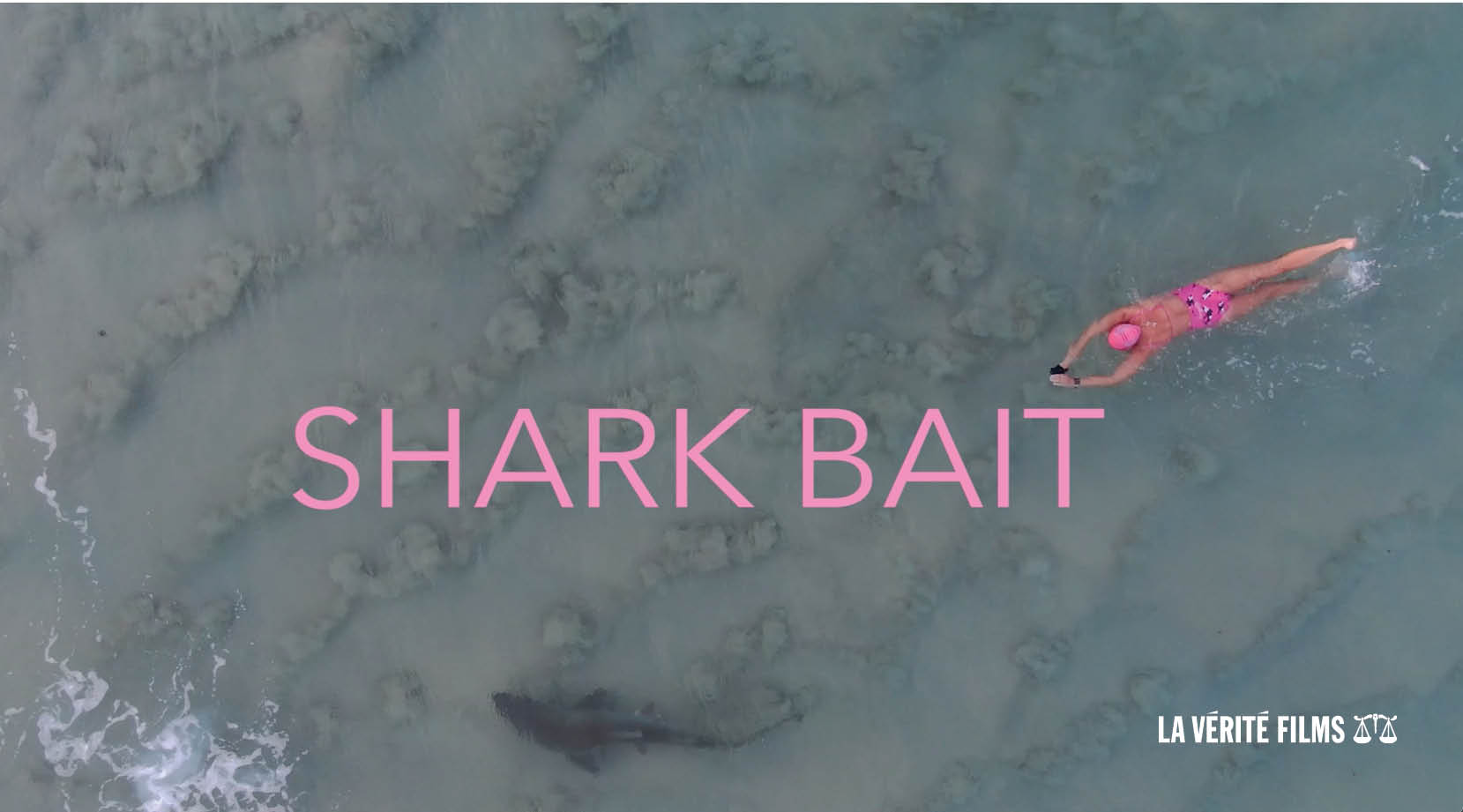 P1 SHARK BAIT 5Jan24 6