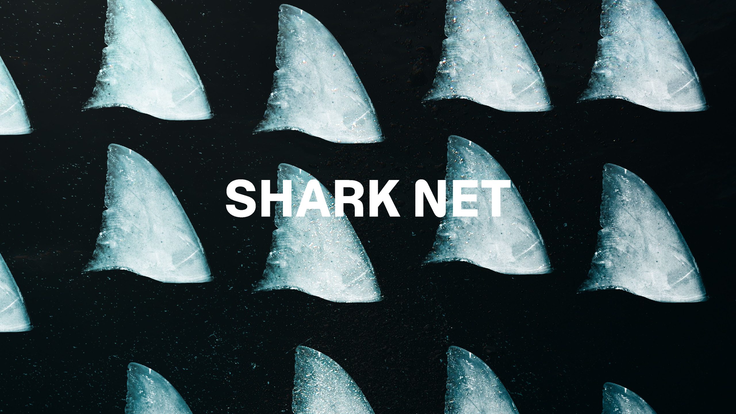 Shark Net Style Guide Cover Ket Art Page 01 1