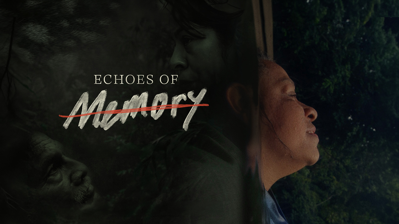 Echoes of memory horizontal1