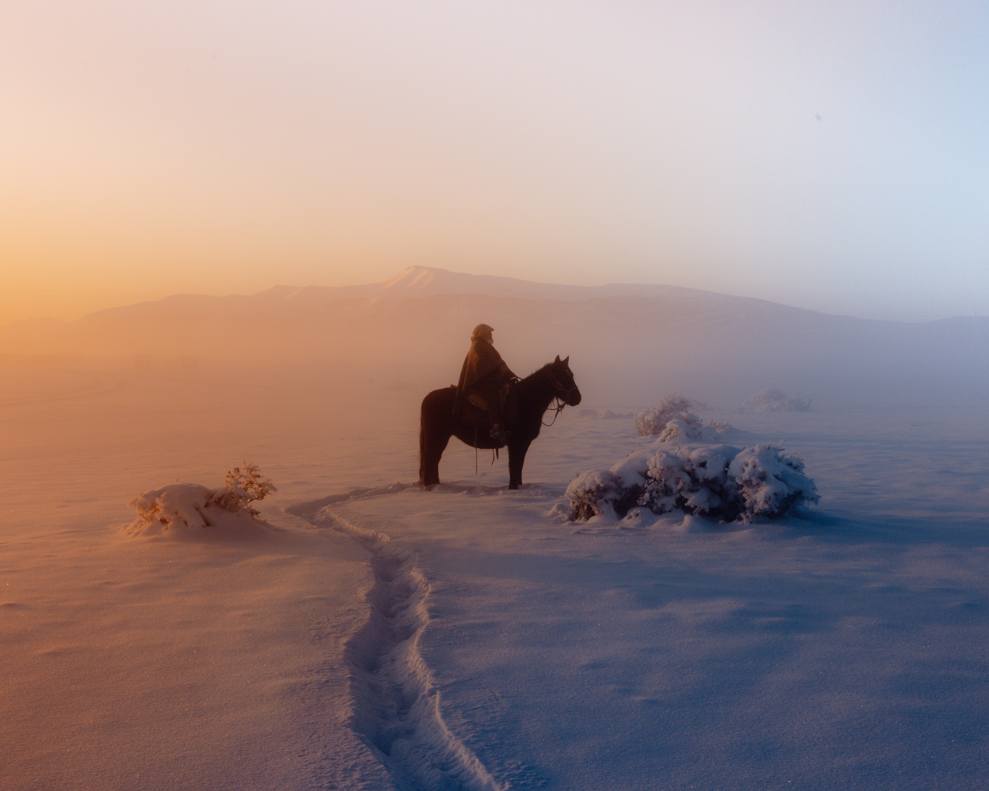 KEY IMAGE THE WEIGHT OF SNOW PIEAERTS 1