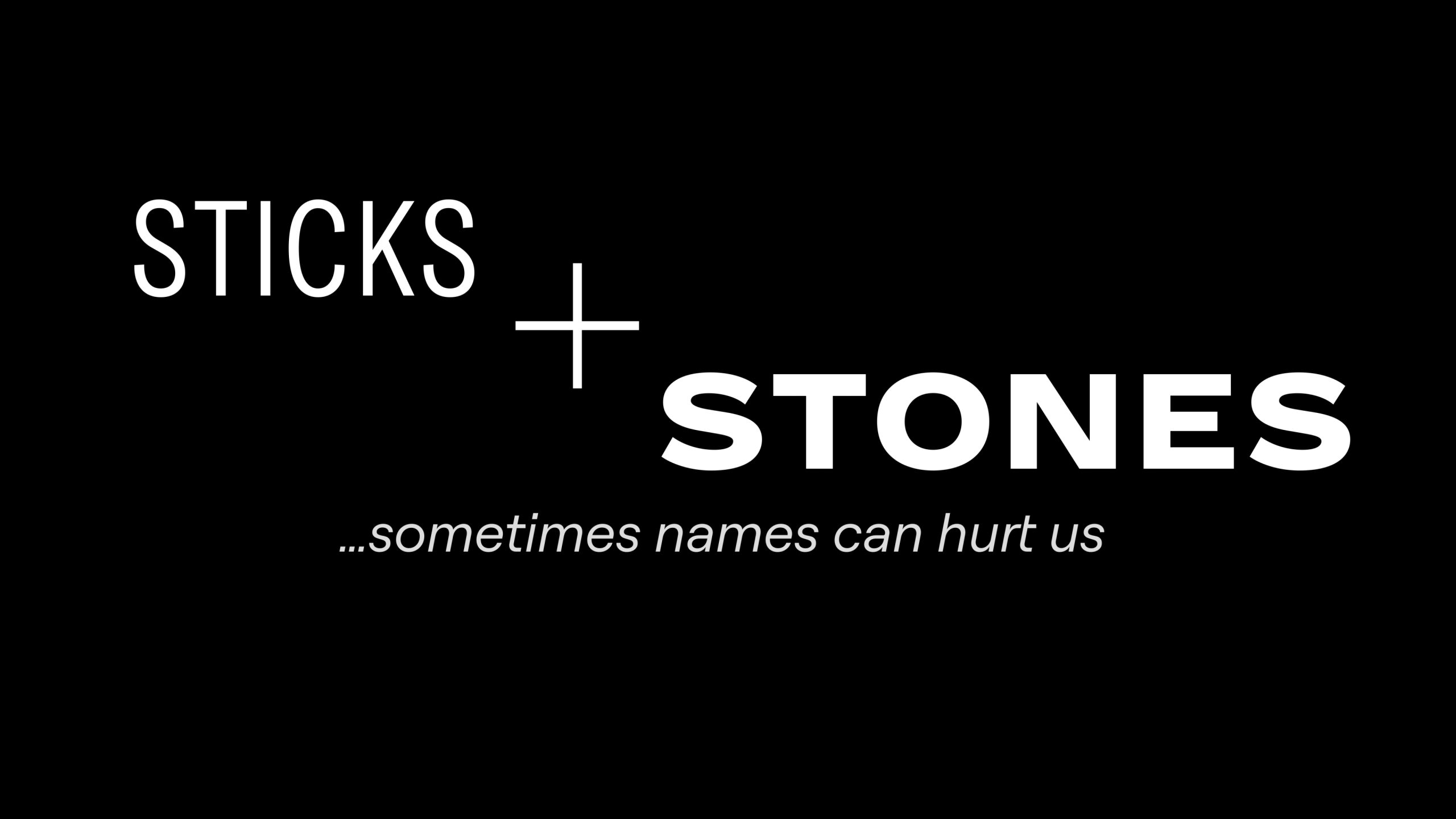 Sticks and Stones Teaser image 2
