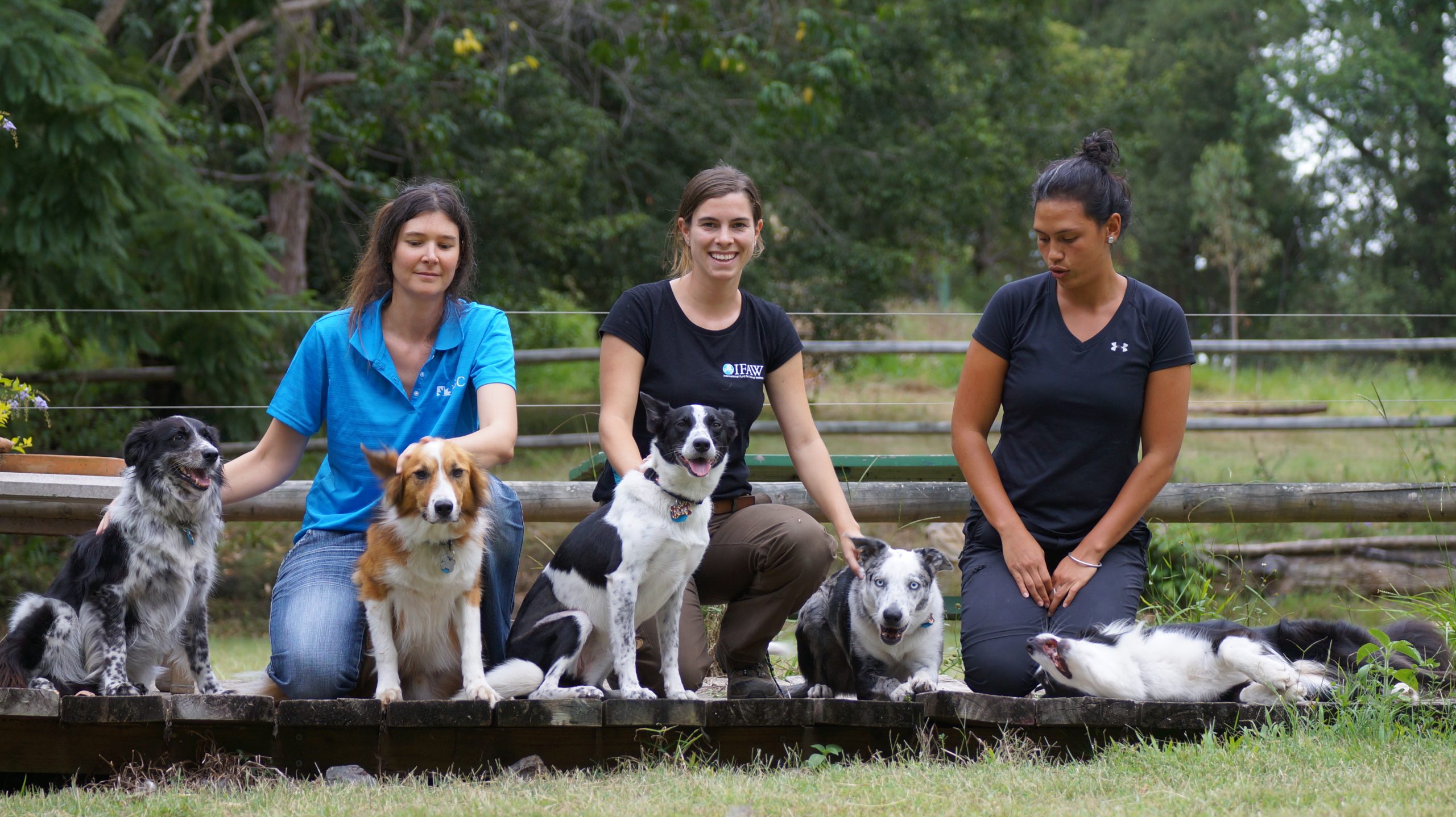 3 girl team dogs in field 2